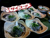 舞阪港より  シラウオ!！ 2013/02/04 22:32:49