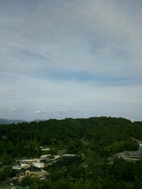 日本平動物園 2013/10/20 11:34:08
