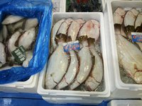 本日の浜松市中央卸売市場 2013/12/06 09:47:59