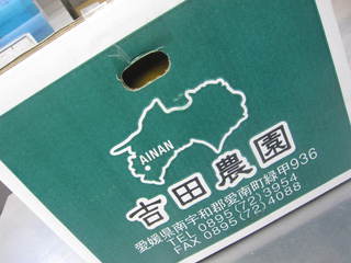 河内晩柑★入荷