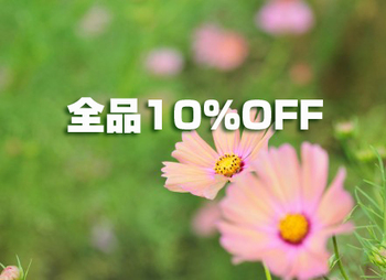 10月27日（月）全品10％OFF　　People Tree各種入荷　