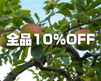 11.25（月）10％割引セール