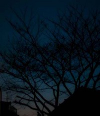2016年12月29日（木）今年最後の新月