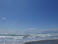 今年はじめての海水
