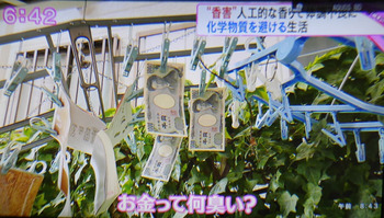 浜松化学物質過敏症の会　報道2.