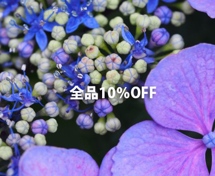 7月12日（日）・13日（月）全品10％割引