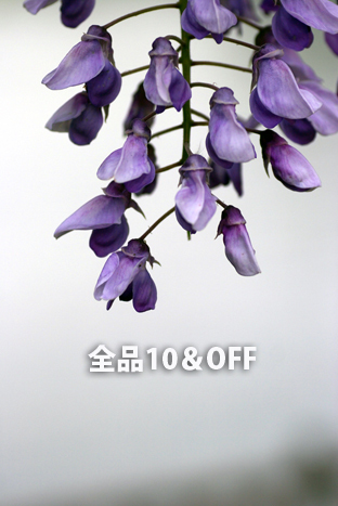 5月10日（日）・11日（月）全品10％OFF