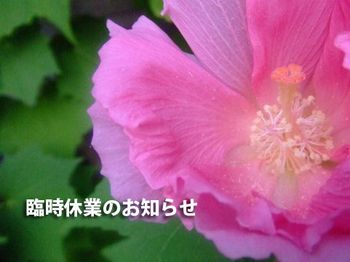 6/7（日）～6/10（水）休業