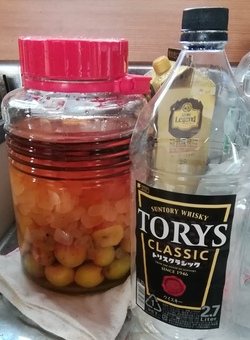 梅酒スペシャル！？