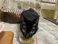 ようこそ！くっちゃん