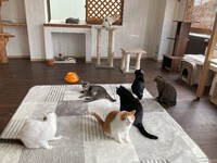 知恵を絞る秋