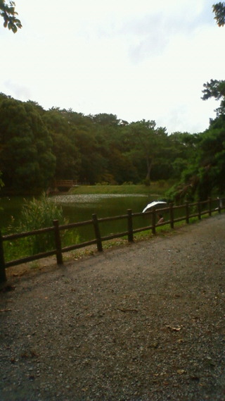 癒しの場所♪