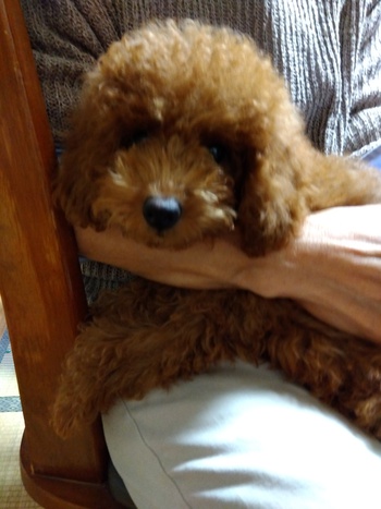 ひとときの安らぎのワンショット！