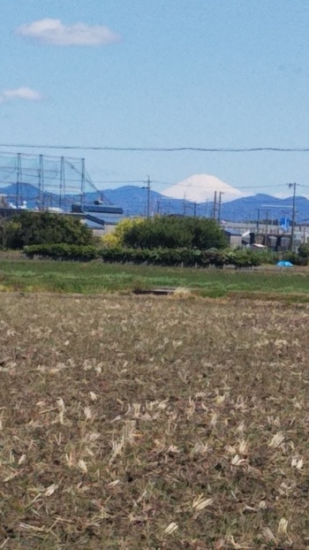 6月22日は富士山世界文化遺産登録10周年記念日！