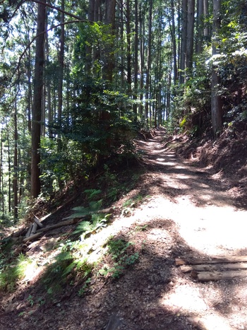 秋葉山本宮秋葉神社まで富士登山予行練習！