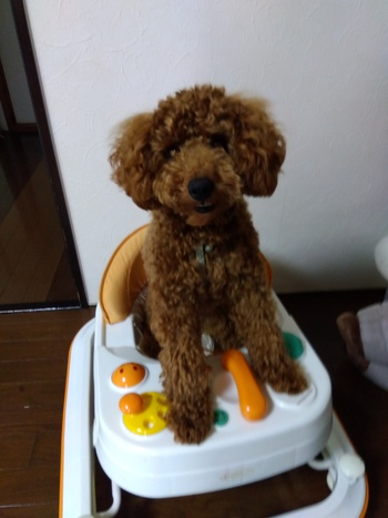 癒やされた1枚の写真！