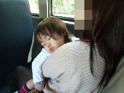子供と行くハワイ～2日目（空港着-基本情報編）～