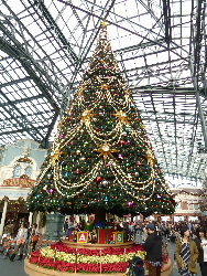 ＴＤＬそのⅠ 2012/11/24 12:14:59