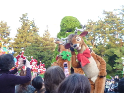 ＴＤＬそのⅡ