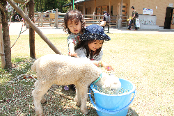 日本平動物園