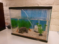 命名 2013/07/20 11:34:11