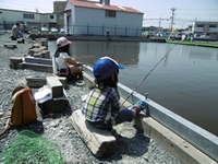 ホクロのＧＷ（後編） 2014/05/11 21:06:52