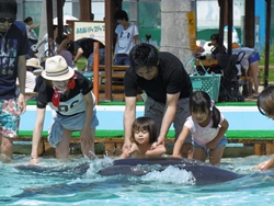 触れ合い日本一