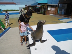 触れ合い日本一