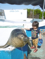 触れ合い日本一