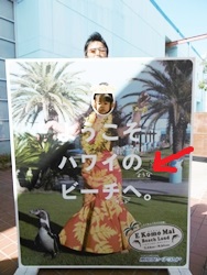 触れ合い日本一