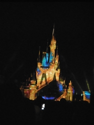 人・人・人のディズニーランド