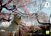 ４月中旬のおすすめ講座♪② 2016/04/02 11:14:29