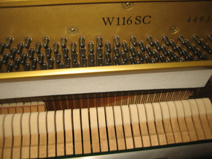 ＹＡＭＡＨＡ　　　Ｗ１１６ＳＣ