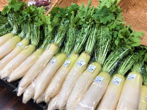 葉付き大根 野菜のおしゃべり とれたて食楽部