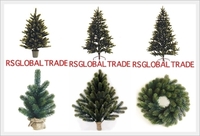 ドイツRS GLOBAL TRADE社クリスマスツリー再入荷 2015/11/22 17:27:36