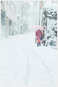 雪の東京