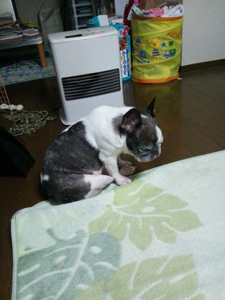ファンヒーターの季節
