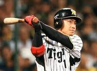 夢破れてタイガースあり！