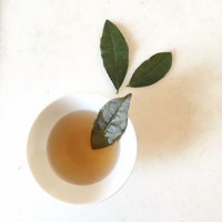 茶の起源 〜茶師のひとこと〜 2018/02/16 15:25:43