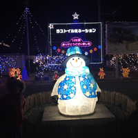 ラストイルミネーション✨我が家のクリスマス 2017/12/27 07:00:00