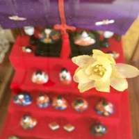 椿のひな祭り 2018 〜子育て日記〜 2018/03/05 19:06:59