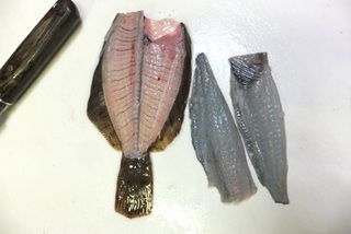 カレイのさばき方 刺身 骨せんべい L Anglers Fish Recipe