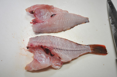 カサゴのさばき方 刺身 姿揚げ L Anglers Fish Recipe