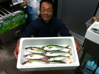 アジの釣果