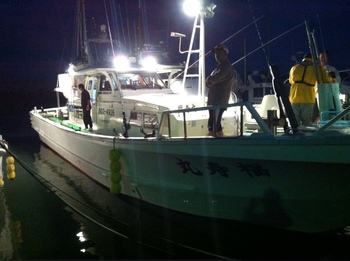 イサキの釣果