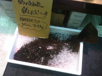 座布団ヒラメの釣果