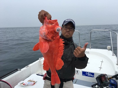 初めてのアコウ！巨大バラムツも初めて。。。