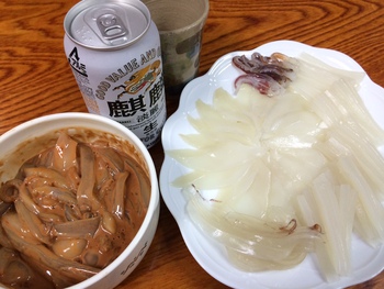 ヤリイカの釣果