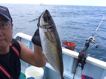特大アジの釣果