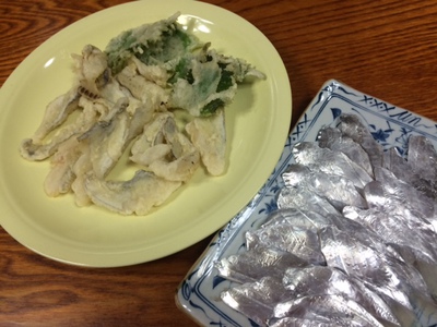初釣りはＨＨＳにびっくり！！